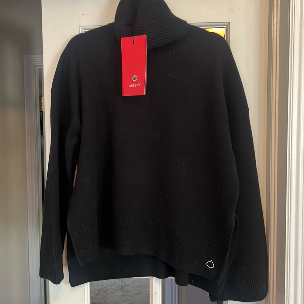 Aspen X cashmere turtleneck- retails for $720 sz L